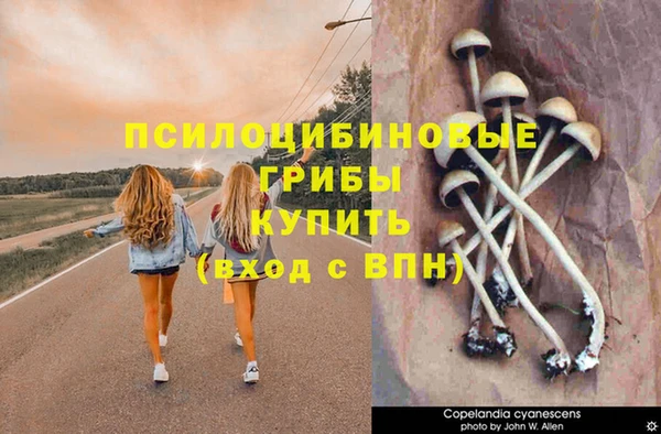мяу мяу мука Белокуриха
