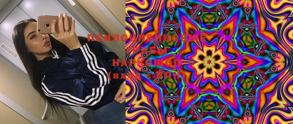 мяу мяу мука Белокуриха