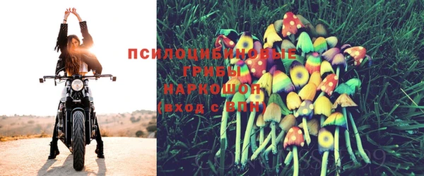каннабис Беломорск