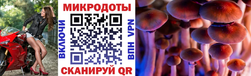 Псилоцибиновые грибы ЛСД  закладки  Новый Оскол 